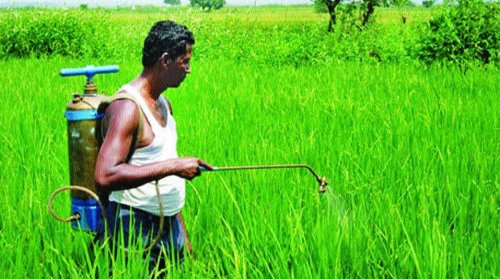 Indian Agriculture