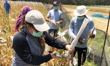राहत पैकेज के हकदार किसान भी
