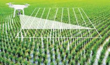 आर्टिफिशियल इंटेलिजेंस से खाद्य गुणवत्ता का डिजिटलीकरण