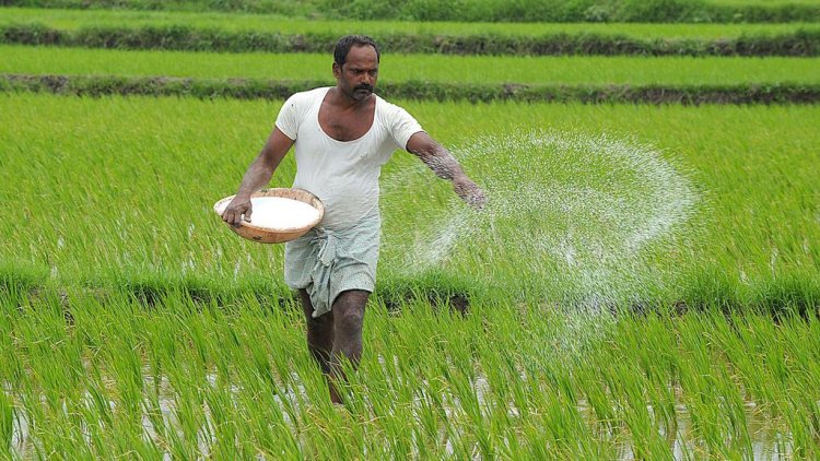 सुधारों में किसान कहां