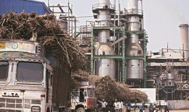 यूपी में गन्ना किसानों को न दाम का पता, न भुगतान का