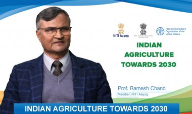 खाद्य सुरक्षा से  पोषण सुरक्षा और  कृषि में बुनियादी बदलाव के लिए नीतिगत मुद्दों की तैयारी पर मंथन