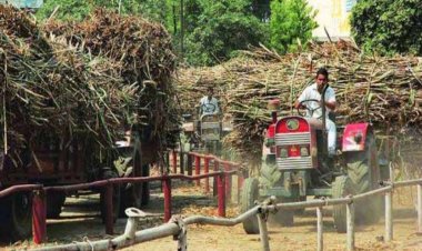 यूपी की चीनी मिलों पर गन्ना किसानों का 5275 करोड़ रुपये का बकाया राज्य सरकार पर गन्ने का एसएपी बढ़ाने का दबाव