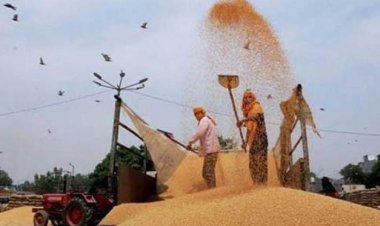 कोविड महामारी के प्रतिबंधों के बीच गेहूं की खरीद के लिए यूपी सरकार ने कृषक संगठनों को साथ जोड़ा