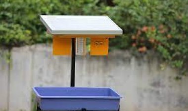 प्रतिभाशाली छात्र की बनाई सोलर ट्रैप तकनीक फसलों को बचाएगी कीटों से