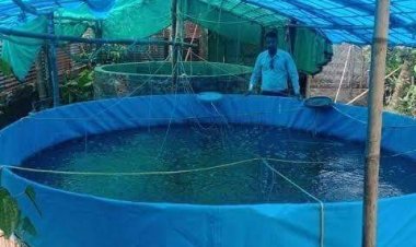 बायोफ्लॉक तकनीक से मछली पालना अधिक फायदेमंद