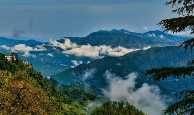 विश्व पर्यावरण दिवस: आर्थिक विकास के लिए ईकोसाइड - मानव जीवन भी खतरे में