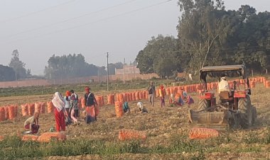 तेलंगाना ने उत्तर प्रदेश से आलू आने पर लगाई रोक, इस फैसले के राजनीति रंग लेने की संभावना   