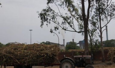 केन्द्र सरकार ने गन्ने का एफआरपी पांच रूपये प्रति क्विंटल बढ़ाया