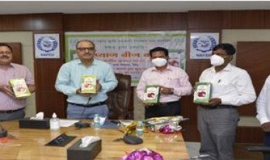 नेफेड ने प्याज की अधिक उत्पादकता वाली किस्म का बीज लांच किया
