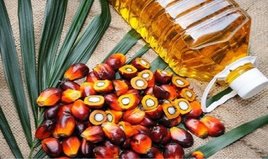 पॉम ऑयल के आयात में दी गई छूट  पर घरेलू खाद्य तेल उद्योग  को आपत्ति