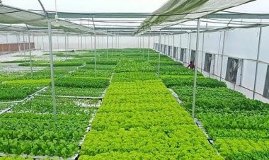 नीतिगत व्यवस्था में ताकत का असंतुलन