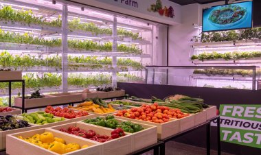 बीएएसएफ वेंचर कैपिटल ने  अर्बन किसान में निवेश किया