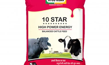 पहली तिमाही में इफको किसान का पशु चारा कारोबार 30 फीसदी बढ़ा