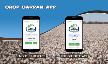 आईआईआई टी हैदराबाद  ने  फसल  रोग निदान में मदद करने  वाला दर्पण एप विकसित किया