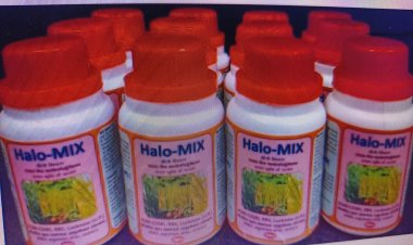 सीएसएसआर लखनऊ ने ऊसर से अच्छी उपज के लिए जैव फार्मुलेशन विकसित किया