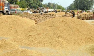 एनसीडीसी ने हरियाणा में एमएसपी पर धान खरीद के लिए 6836.48 करोड़ रुपये मंजूर किये