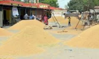 उत्तर प्रदेश में धान खरीद केंद्र के नियमों को लेकर परेशान हो रहें है  किसान