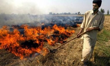 पराली के धुएं में अर्थशास्त्र पर हावी राजनीति, इसका स्थायी समाधान जरूरी