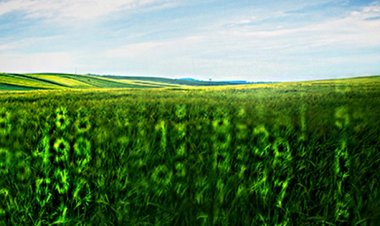 आर्टिफिशियल इंटेलिजेंस के बढ़ते  उपयोग से कृषि में टेक्नोलॉजिकल रेवलूशन