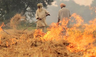 पराली जलाने की घटनाओं में पिछले साल के मुकाबले 52.5 फीसदी की कमी