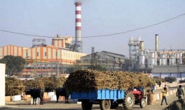 15 नवंबर तक  20  लाख टन  चीनी उत्पादन पिछले साल से 25 फीसदी  अधिक