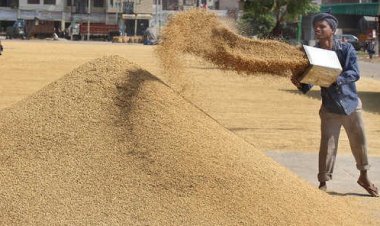 फिर रिकॉर्ड खाद्यान्न उत्पादन का अनुमान, 2021-22 में उत्पादन 31.6 करोड़ टन रहने की उम्मीद