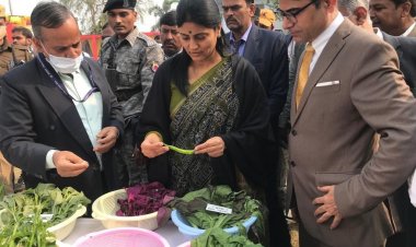 चीन  और यूएई को उत्तर प्रदेश से  चावल और  मिर्च निर्यात