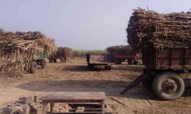 गन्ना तौल में गड़बड़ी करने वाली चीनी मिलों के  खिलाफ उत्तर प्रदेश  सरकार सख्त