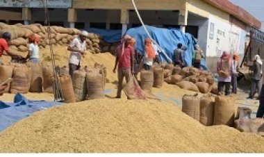 कृषि निर्यात में 23 फीसदी की बढ़ोतरी, अप्रैल से जनवरी तक 19.71 अरब डॉलर का हुआ निर्यात