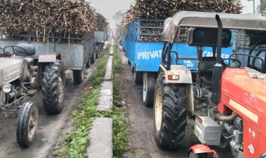 उत्तर प्रदेश में चीनी मिलों पर गन्ना किसानों का 6000 करोड़ रुपये से ज्यादा बकाया