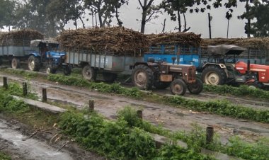पश्चिम यूपी में गुरुवार को मतदान, यहां की राजनीति में गन्ना और चीनी उद्योग क्यों है सदाबहार