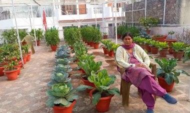 लखनऊ की मंजू वर्मा ने  घर की छत पर बनाया किचन गार्डेन, 400 गमलों में उगाती हैं फल और सब्जियां