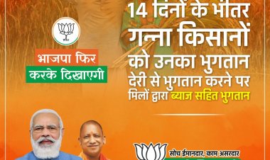 यूपीः भाजपा का किसानों को सिंचाई के लिए मुफ्त बिजली, बोरवेल के लिए ग्रांट का वादा
