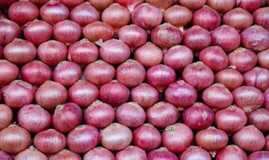 सरकार रबी सीजन में तीन लाख टन प्याज खरीदेगी, पिछले वर्ष से 50 हजार टन है ज्यादा