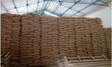 एसएलसीएम ग्रुप को एग्री रीच टेक्नोलॉजी के लिए मिला पेटेंट, वेयरहाउसिंग में काम आती है यह प्रौद्योगिकी