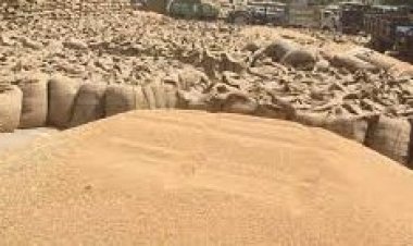यूपी में लक्ष्य के मुकाबले सिर्फ 5 फीसदी गेहूं की सरकारी खरीद, समय बढ़ाने का भी असर नहीं