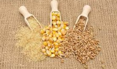 रूस-यूक्रेन युद्ध से कमोडिटी के दाम बढ़े, कृषि क्षेत्र की आय 57,800 करोड़ रुपए बढ़ने की उम्मीदः प्रभुदास लीलाधर