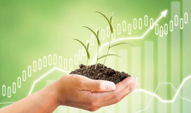 ओमनीवोर ने 1000 करोड़ रुपए का वेंचर फंड लॉन्च किया, एग्रीटेक सेक्टर में करेगी निवेश