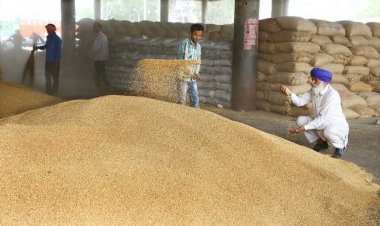 कोऑपरेटिव के जरिए खाद्य प्रणाली प्रबंधन