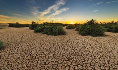 भू संसाधनों का दुरुपयोग न रुका तो 2050 तक दक्षिण अमेरिका के आकार की और भूमि का क्षरण हो जाएगा: यूएन रिपोर्ट