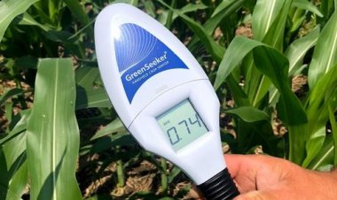 उचित तकनीक के इस्तेमाल से कर सकते हैं उर्वरकों की बचत