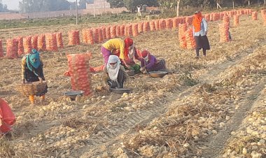 महंगाई से आम लोग ही नहीं, किसानों और छोटे उद्यमियों का भी बढ़ा संकट