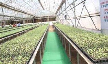 योगी सरकार बागवानी को बढ़ावा देने  के लिए सभी जिलों में सीओई  की स्थापित  करेगी