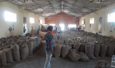 निर्यात पर रोक के बाद दो हफ्ते में सिर्फ 3.4 लाख टन गेहूं की सरकारी खरीद, 195 लाख टन के लक्ष्य को पाना मुश्किल