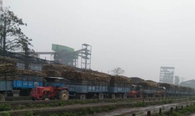 साल 2023-24 में चीनी  उत्पादन 9 लाख टन घटकर 317 लाख टन रहने का अनुमान, कीमतों में रहेगी तेजी