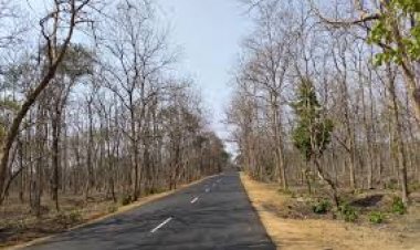 महाराष्ट्र सरकार ने बीआरएलफ के साथ  मिलकर मानव विकास इंडेक्स परियोजना शुरू की