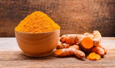 कुशीनगर में हल्दी की खेती को बढ़ावा दे सकती है यूपी सरकार, किसानों को होगा बड़ा फायदा