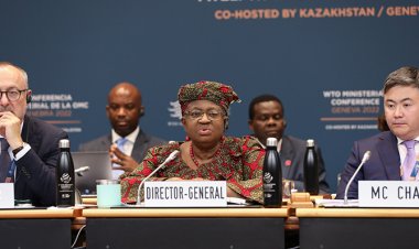 भारत के लिए अहम सार्वजनिक अनाज भंडारण और कृषि सब्सिडी पर डब्ल्यूटीओ में चर्चा नहीं