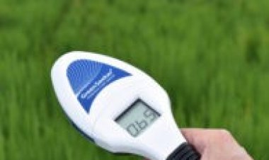 फसलों में नाइट्रोजन के सटीक प्रबंधन के लिए ग्रीन सीकर और क्लोरोफिल मीटर का करें प्रयोग